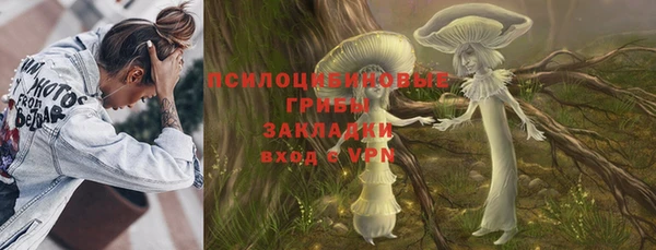 спиды Арсеньев